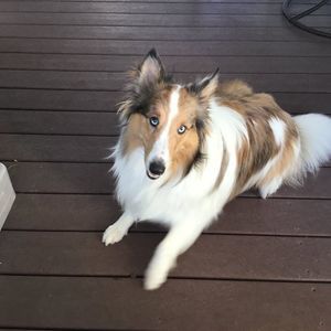 Meet your Posher, Cindy